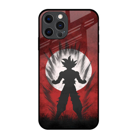 Japanese Animated Glossy Case for iPhone 12 Pro