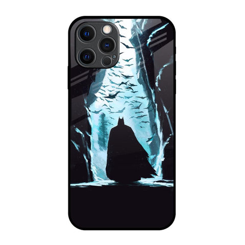 Dark Man In Cave Glossy Case for iPhone 12 Pro Max
