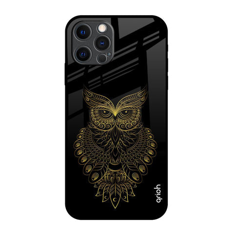 Golden Owl Glossy Case for iPhone 12 Pro Max