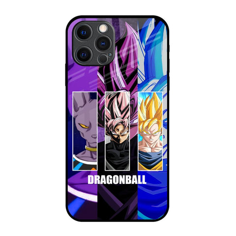 DGBZ Glossy Case for iPhone 12 Pro Max