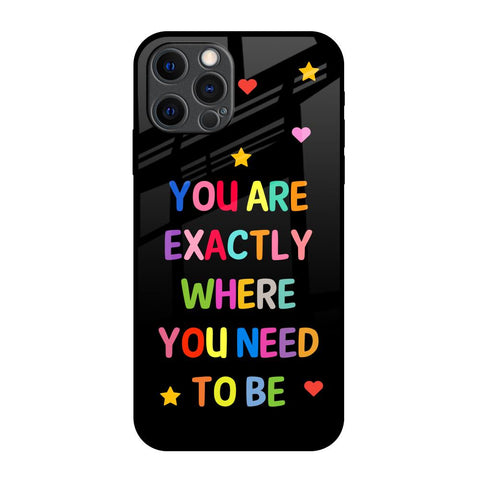 Magical Words Glossy Case for iPhone 12 Pro Max