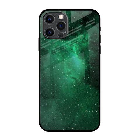 Emerald Firefly Glossy Case For iPhone 12 Pro Max
