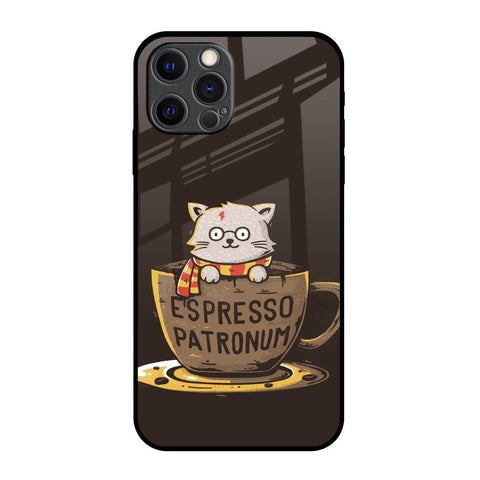 Tea With Kitty Glossy Case For iPhone 12 Pro Max