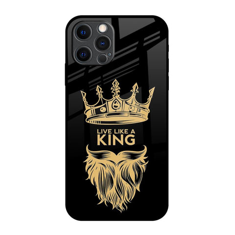 King Life Glossy Case For iPhone 12 Pro Max