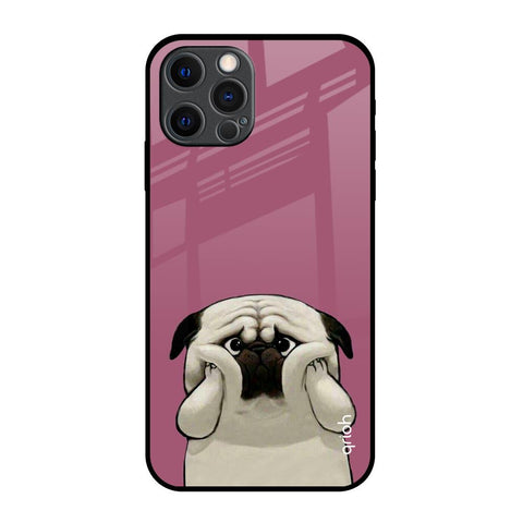 Funny Pug Face Glossy Case For iPhone 12 Pro Max