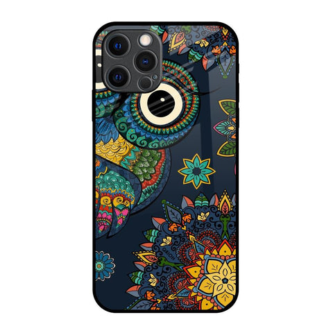 Owl Art Glossy Case for iPhone 12 Pro Max