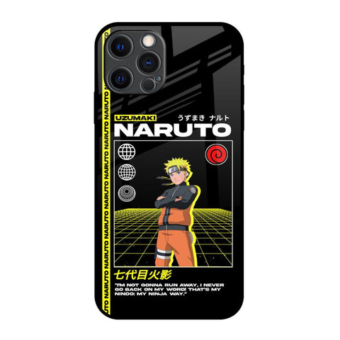 Ninja Way Glossy Case for iPhone 12 Pro Max