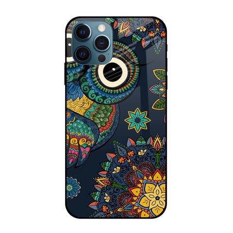 Owl Art Glossy Case for Apple iPhone 12 Pro Max