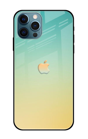 Cool Breeze Glossy case for iPhone 12 Pro Max