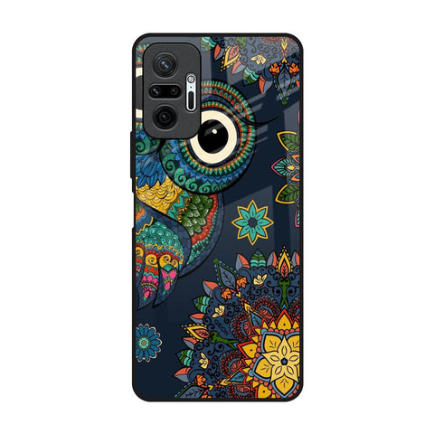 Owl Art Glossy Case for Redmi Note 10 Pro