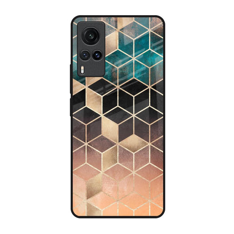 Bronze Texture Glossy Case for Vivo X60
