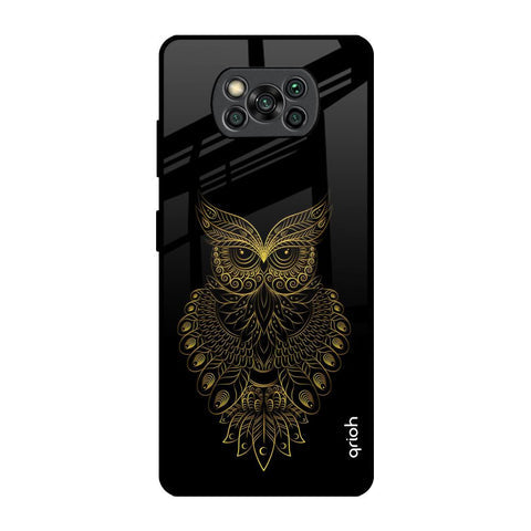 Golden Owl Glossy Case for Poco X3 Pro