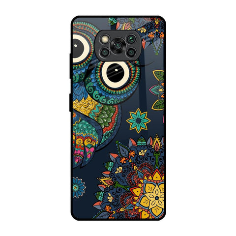 Owl Art Glossy Case for Poco X3 Pro