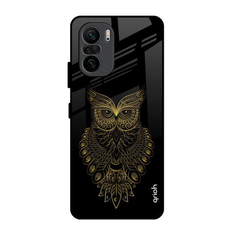 Golden Owl Glossy Case for Mi 11X