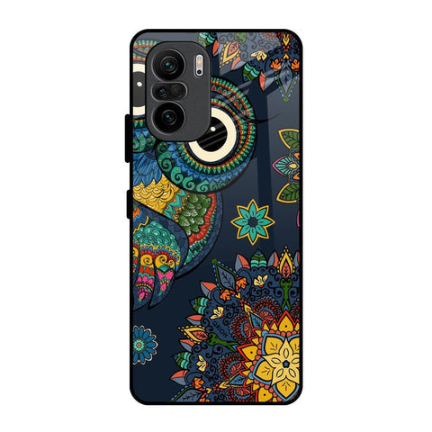 Owl Art Glossy Case for Mi 11X Pro