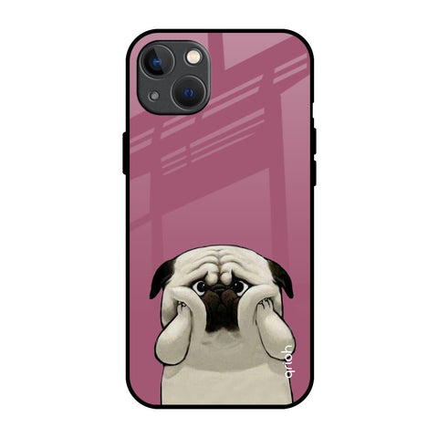 Funny Pug Face Glossy Case For iPhone 13 mini