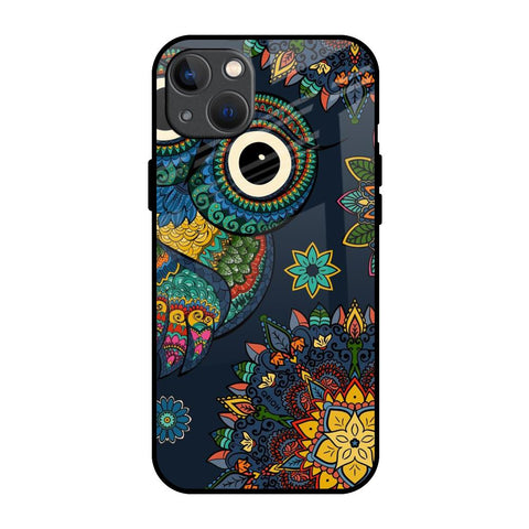 Owl Art Glossy Case for iPhone 13 mini