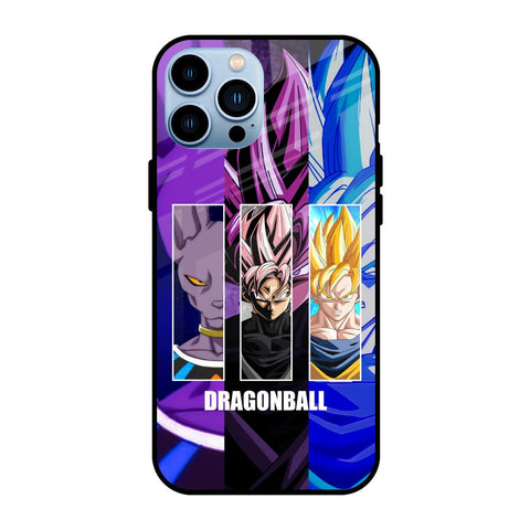 DGBZ Glossy Case for iPhone 13 Pro
