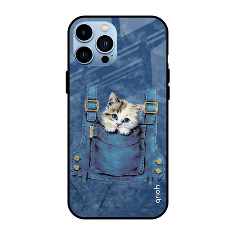 Kitty In Pocket Glossy Case For iPhone 13 Pro