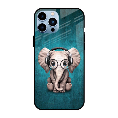 Adorable Baby Elephant Glossy Case For iPhone 13 Pro