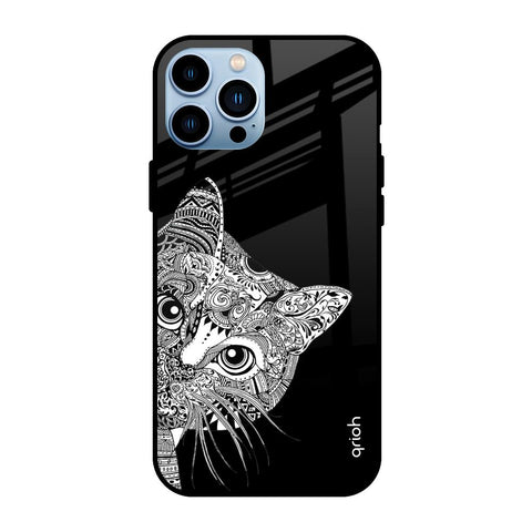 Kitten Mandala Glossy Case for iPhone 13 Pro