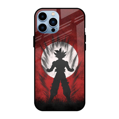 Japanese Animated Glossy Case for iPhone 13 Pro