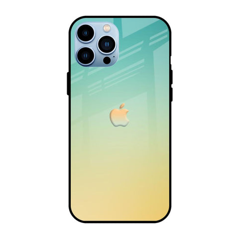 Cool Breeze Glossy case for iPhone 13 Pro