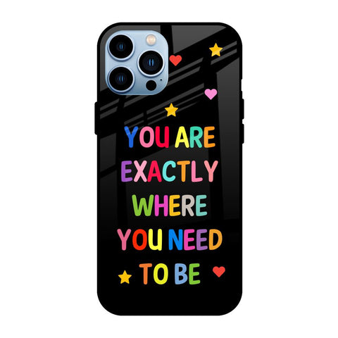 Magical Words Glossy Case for iPhone 13 Pro Max