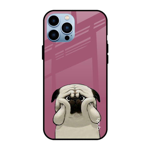Funny Pug Face Glossy Case For iPhone 13 Pro Max