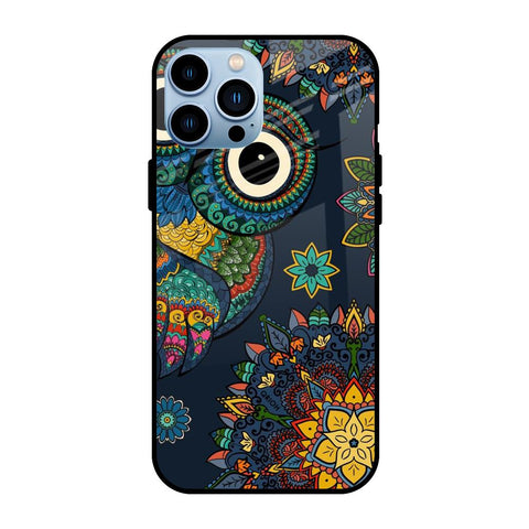 Owl Art Glossy Case for Apple iPhone 13 Pro Max