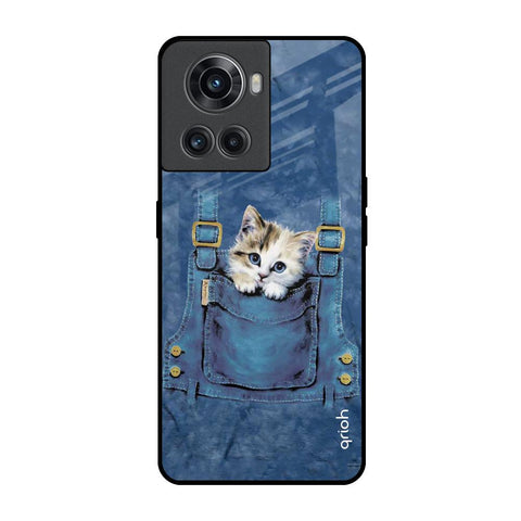 Kitty In Pocket Glossy Case For OnePlus 10R 5G