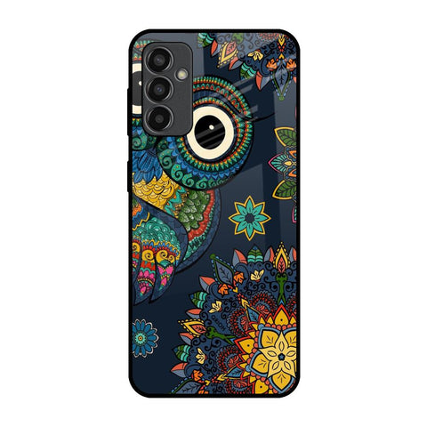 Owl Art Glossy Case for Samsung Galaxy F13