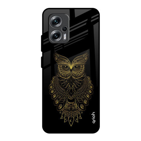 Golden Owl Glossy Case for Redmi K50i 5G