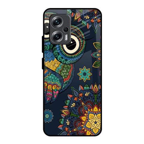 Owl Art Glossy Case for Redmi K50i 5G