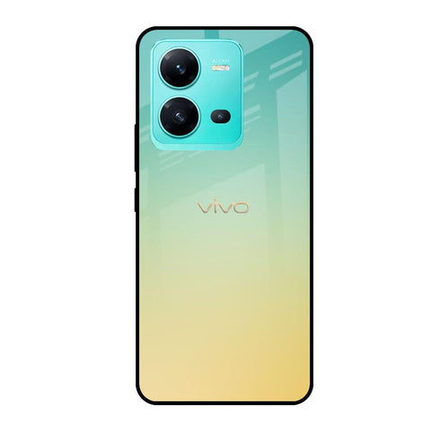 Cool Breeze Glossy case for Vivo V25