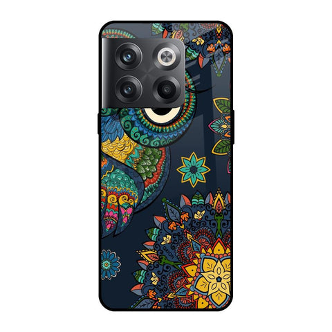 Owl Art Glossy Case for OnePlus 10T 5G