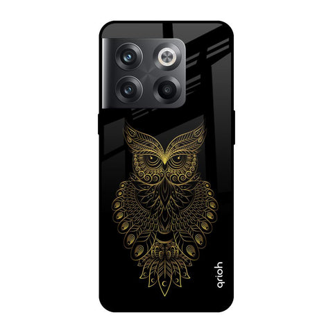Golden Owl Glossy Case for OnePlus 10T 5G