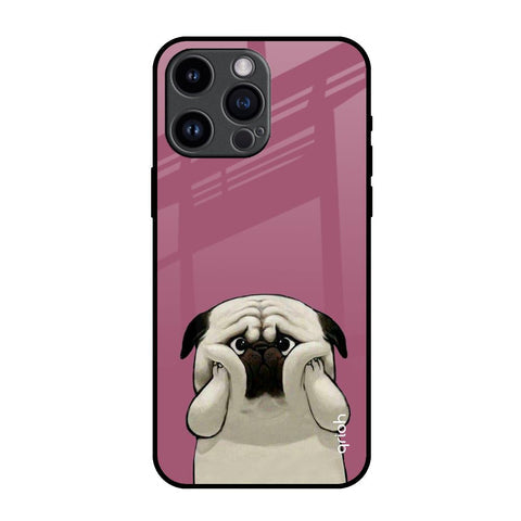 Funny Pug Face Glossy Case For iPhone 14 Pro Max