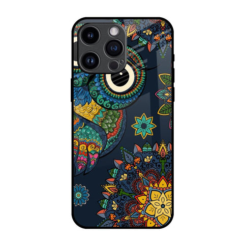 Owl Art Glossy Case for iPhone 14 Pro Max