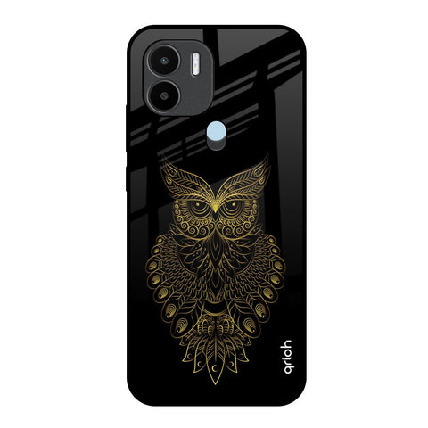 Golden Owl Glossy Case for Redmi A1 Plus