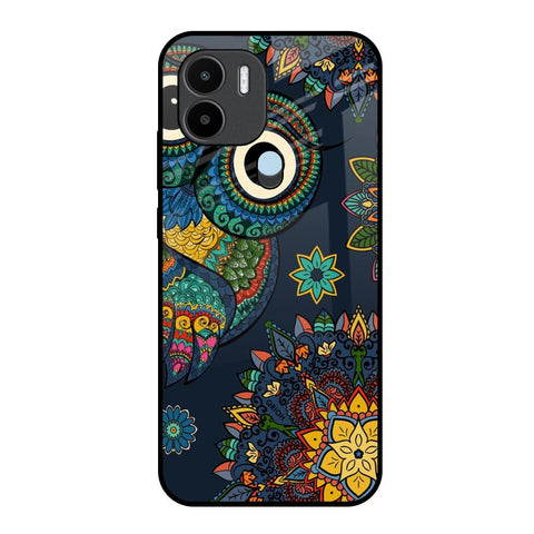 Owl Art Glossy Case for Redmi A1 Plus
