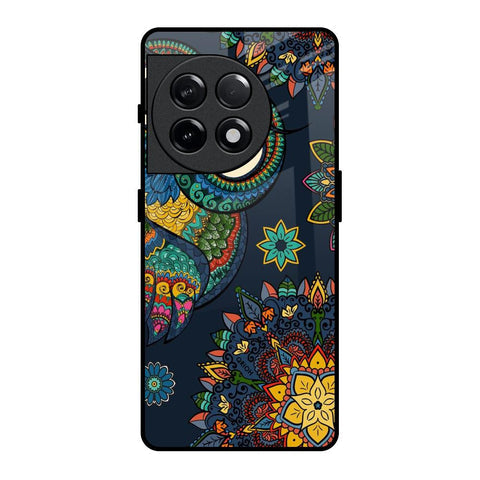 Owl Art Glossy Case for OnePlus 11R 5G