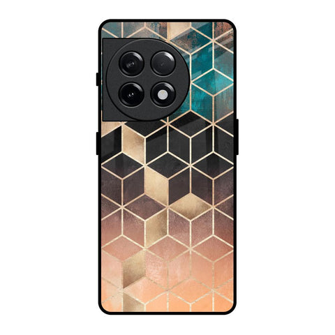 Bronze Texture Glossy Case for OnePlus 11R 5G