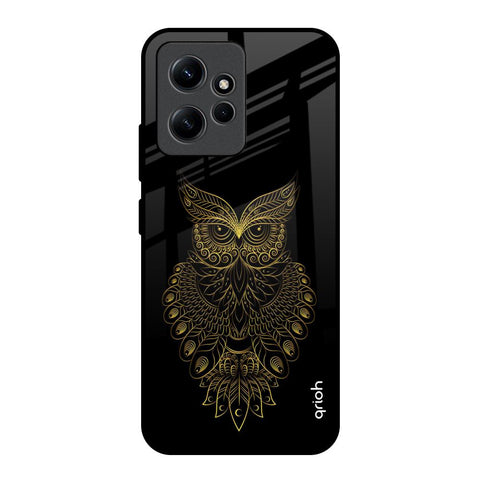 Golden Owl Glossy Case for Redmi Note 12