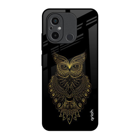 Golden Owl Glossy Case for Redmi 12C