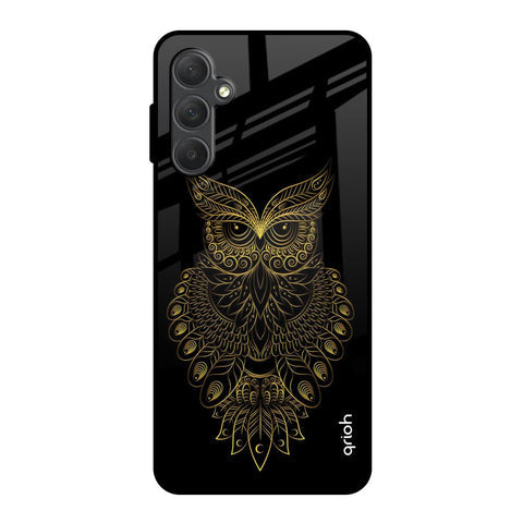 Golden Owl Glossy Case for Samsung Galaxy M54 5G