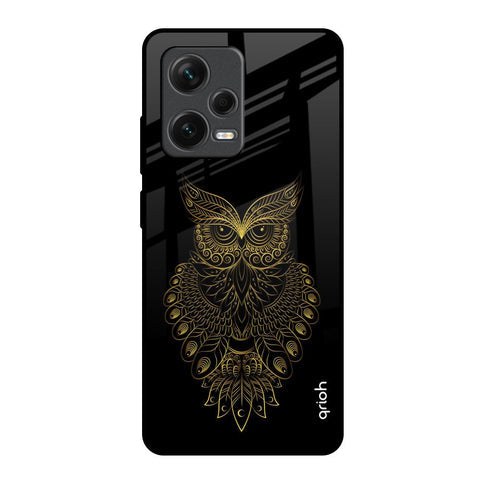 Golden Owl Glossy Case for Redmi Note 12 Pro Plus 5G