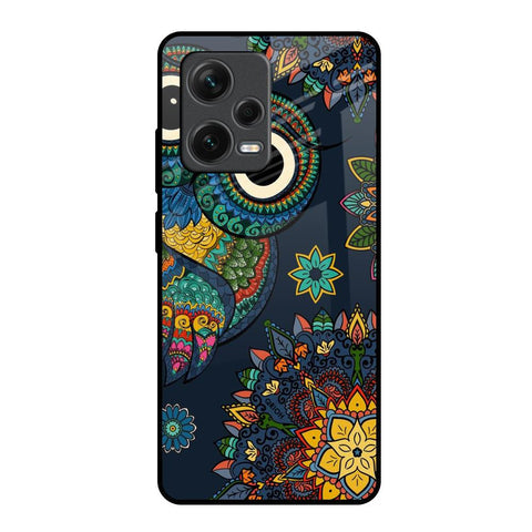 Owl Art Glossy Case for Redmi Note 12 Pro 5G