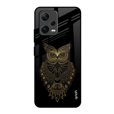 Golden Owl Glossy Case for Redmi Note 12 5G