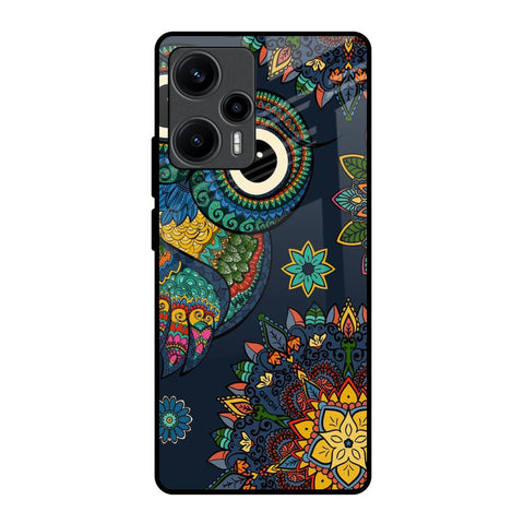 Owl Art Glossy Case for Poco F5 5G
